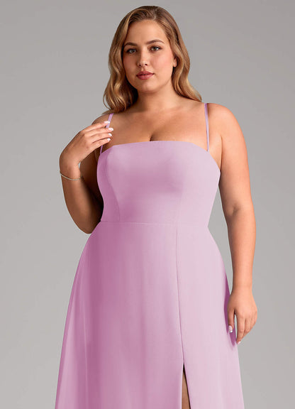 Wren-AZ34035899 - Final Sale